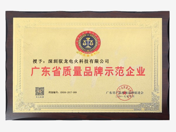 广东省质量品牌示范企业